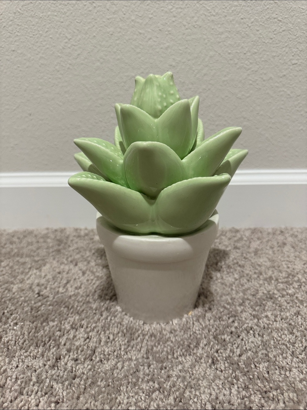 Green Ceramic Succulent in White Pot - Decorative Home Accent